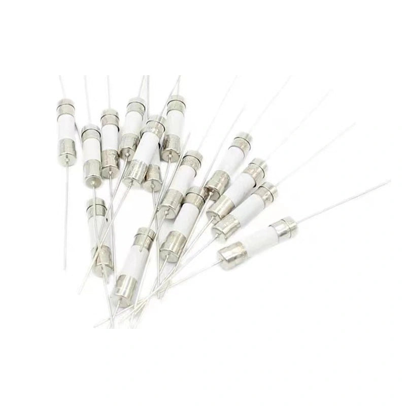 16A 250V Ceramic Fuse - Reliable Slow-Blow Protection for Electrical Systems